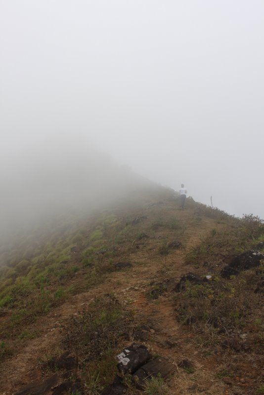 India 2010 - Coorg - Honey Valley - Climbing the Hills - Western Hill